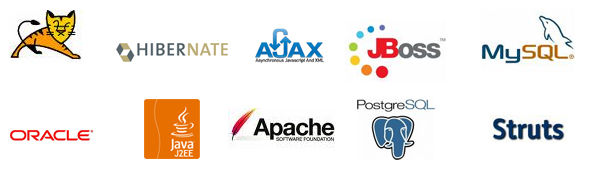  Expertises da B2ML Sistemas: J2EE, Banco de Dados, Hibernate e outras tecnologias.